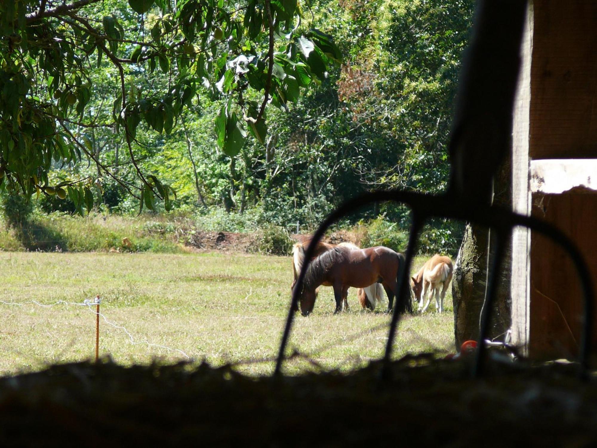 Hotel La Ferme De Kerhors Tréméoc Zewnętrze zdjęcie