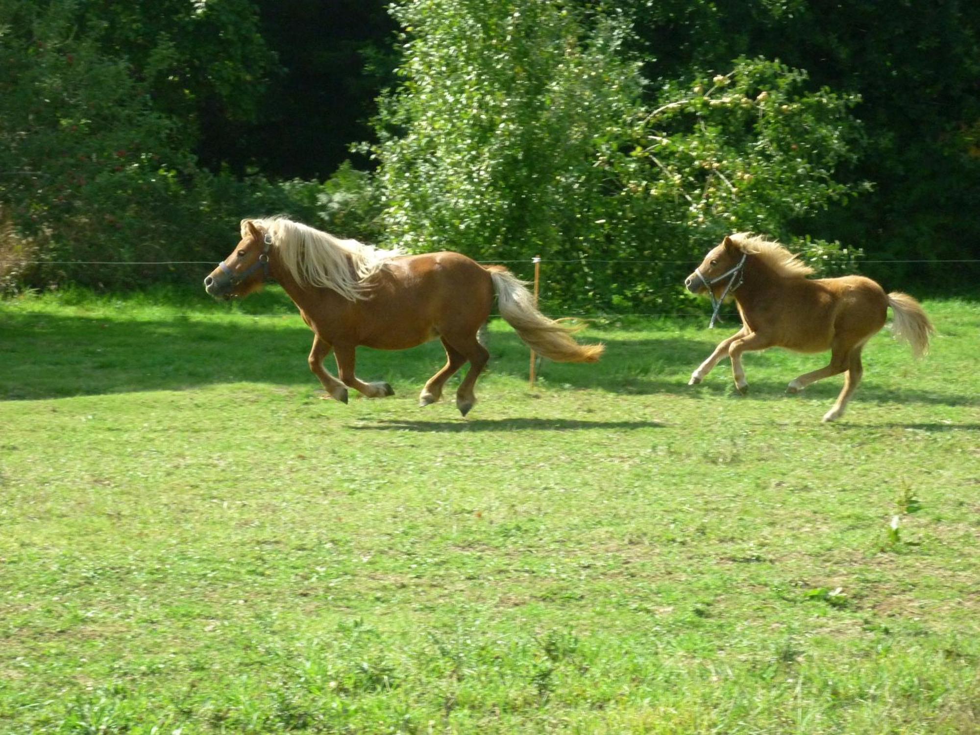 Hotel La Ferme De Kerhors Tréméoc Zewnętrze zdjęcie