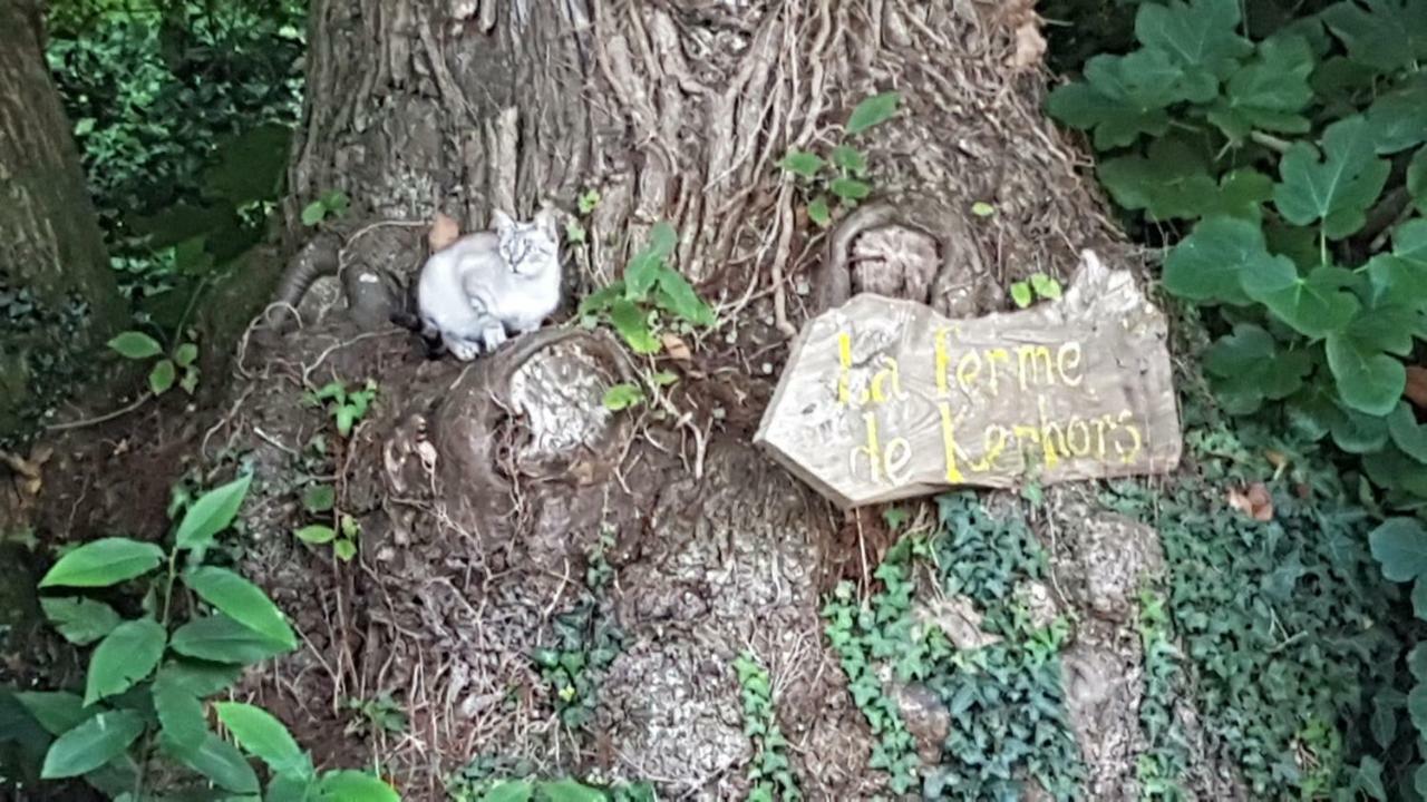 Hotel La Ferme De Kerhors Tréméoc Zewnętrze zdjęcie